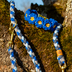 Complete Set 'Forget-me-not'