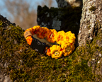 Halsband 'Sonnenblume'