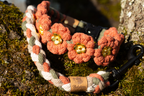 'Rose Blossom' Complete Set